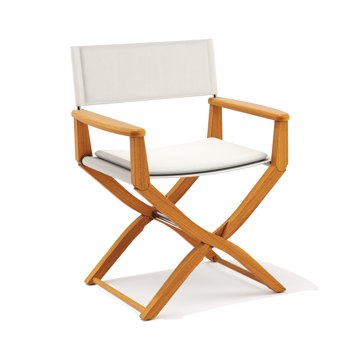 EYF0559 Director's Chair
